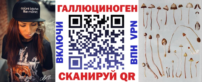Купить где  Волжск  Псилоцибиновые грибы мицелий 